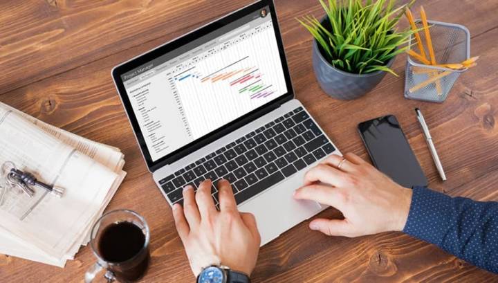 Working Smart with Microsoft Project